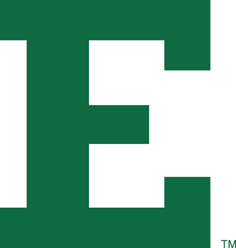 Eastern Michigan Eagles 1995-2001 Alternate Logo iron on transfers for fabric